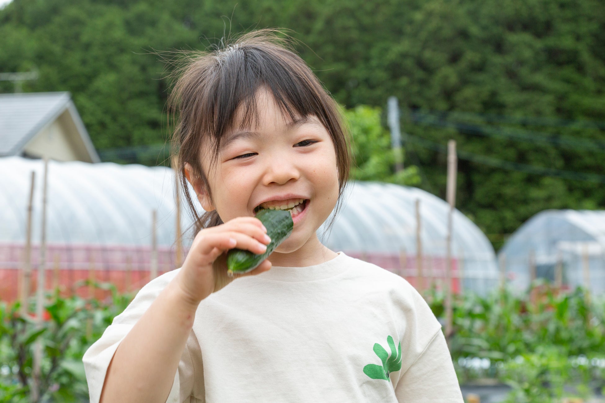 採れたの野菜をがぶり！